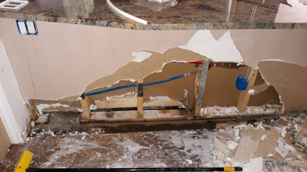 Best Emergency water damage restoration  in Glespie, IL