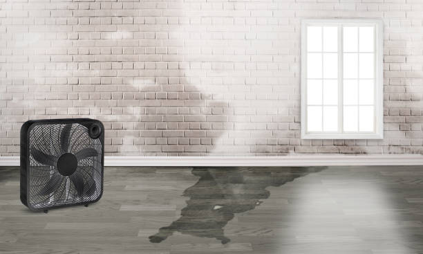 Best 24-hour water damage restoration  in Glespie, IL