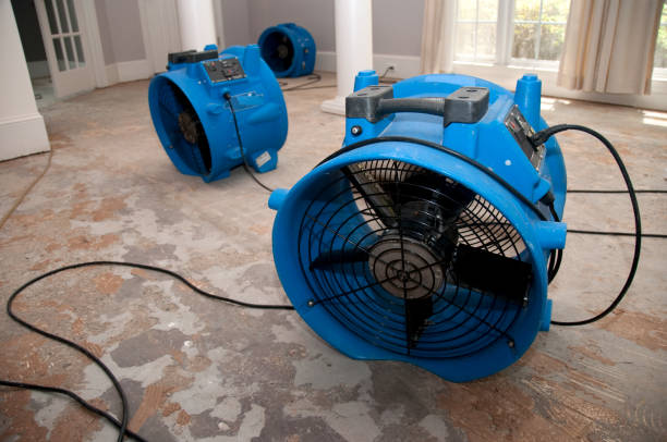 Sewage cleanup and water damage restoration in IL