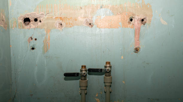 Best Mold removal after water damage  in Glespie, IL