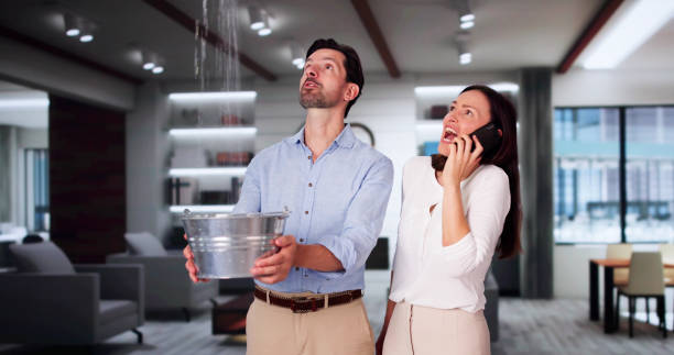 Best Water damage restoration near me  in Glespie, IL